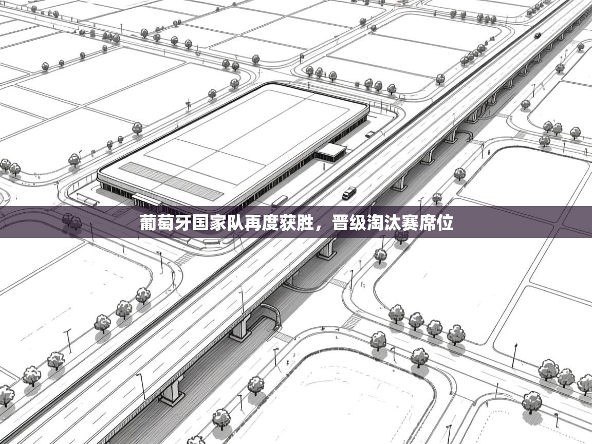 葡萄牙国家队再度获胜，晋级淘汰赛席位