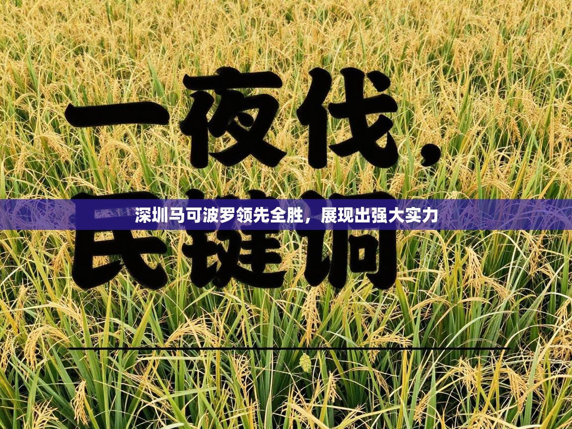 深圳马可波罗领先全胜，展现出强大实力