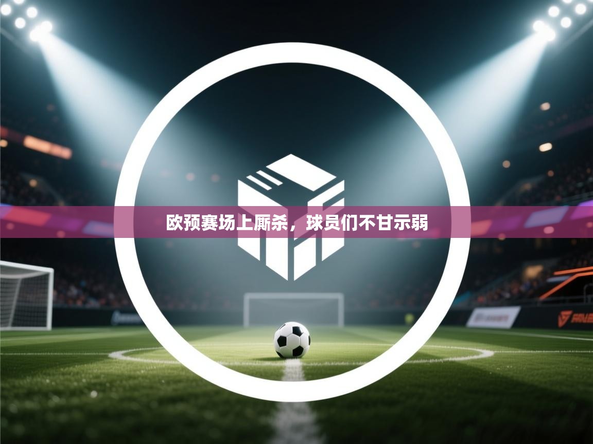 欧预赛场上厮杀，球员们不甘示弱  第1张