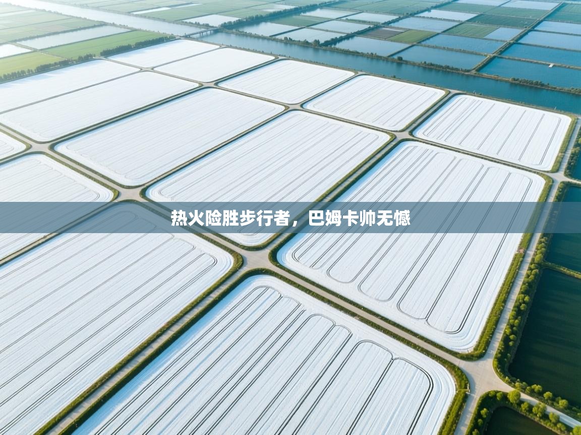 热火险胜步行者，巴姆卡帅无憾  第1张