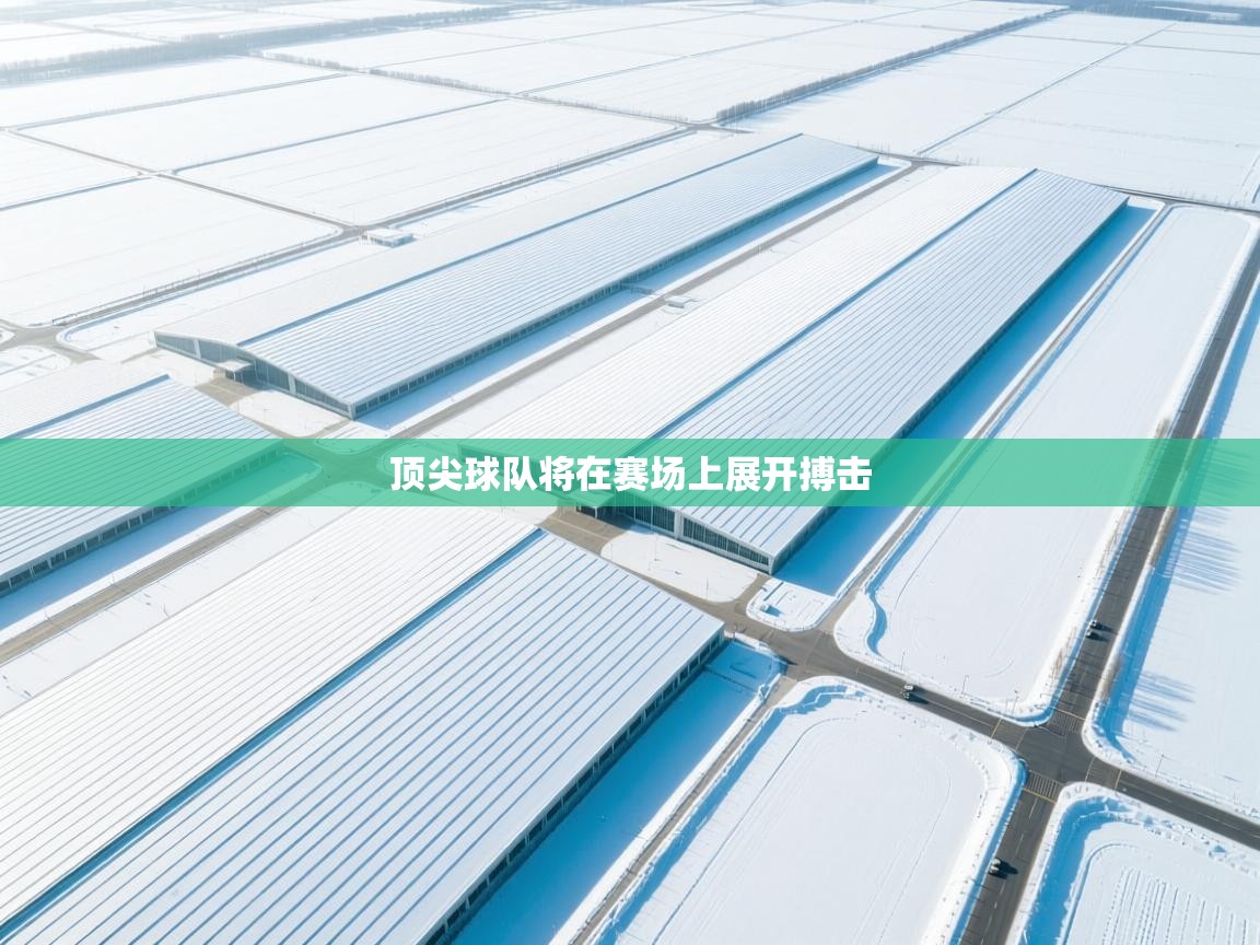 顶尖球队将在赛场上展开搏击  第2张