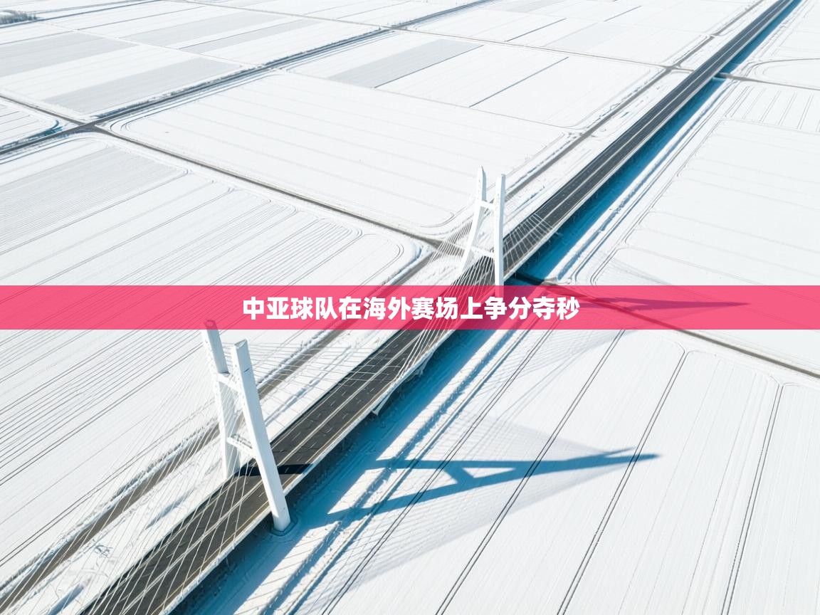 中亚球队在海外赛场上争分夺秒 第2张